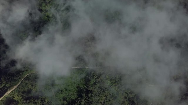 High altitude - drifting clouds and jungle landscape - birds view angle
