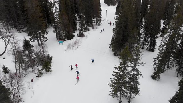 Cross-country skiers skiing in Nordic snowy winter forest landscape, aerial view 