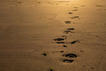 Boots footprints on a wet sand in perspective. Footprints on the beach.