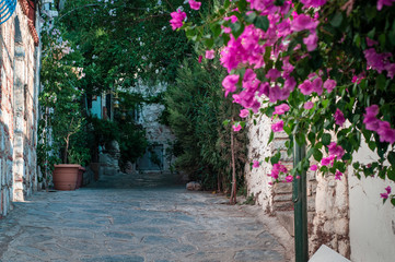 The resort town of Bodrum. Turkish courtyard with pavers, overgrown with greenery and flowers. Focus in the background.