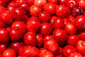 Fresh cherries in a bowl