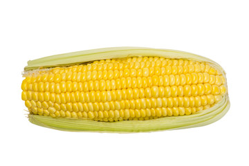top view of single corn isolated on white background with clipping path