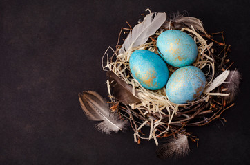 Easter eggs in a nest on dark background . Copy space, Ester holiday postcard concept. - obrazy, fototapety, plakaty