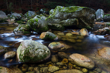 Naklejka na ściany i meble Autumn river. Clear water shows rocks on the bottom. Stream of water between rocks.