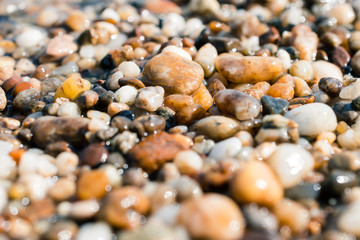 Pebbles and small stones on the shore of the Danube.