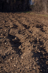 Plowed field in the italian countryside on a sunny day. Agricultural field on winter season