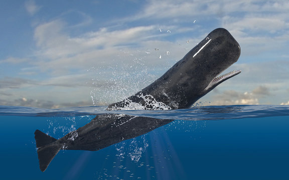 Horizontal scene of cachalot sperm whale leaping and jumping while half is underwater deep ocean 3d rendering