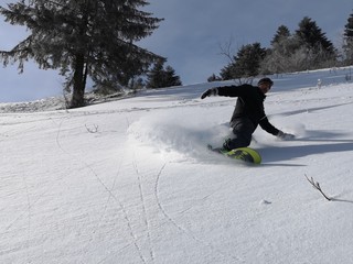 snowboard en poudreuse