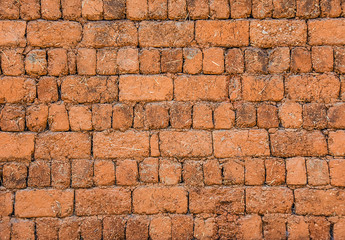 Loess wall