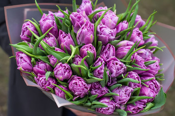 Bouquet of fresh purple spring tulip flowers. Closeup view. Top view.