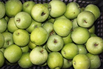 Green apples in a box	
