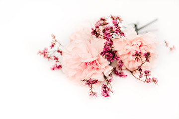 bouquet of flowers on the white background, symbol of love, pink or beije carnations and small decoration branch
