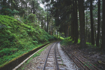 Alishan Forest Railway in Taiwan