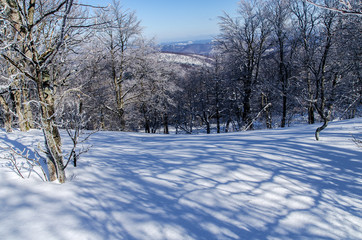 las zimą Bieszczady