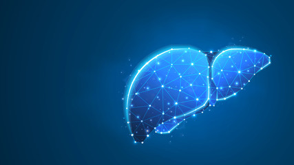 Liver, Human organ. Adult body anatomy, health biology, internal world of people. Low poly, wireframe 3d Raster illustration. Abstract polygonal image on blue neon background