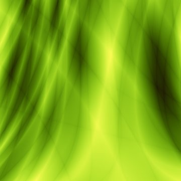 Nature green grass abstract web background
