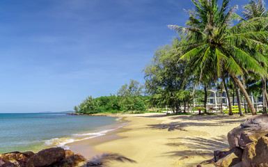 Summer vacation tropical beach concept