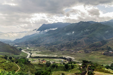 Fototapeta na wymiar Rice field in valley Vietnam