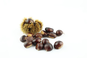 A handful of edible chestnuts separated on a white background. Isolated white background and autumn forest edible brown chestnuts. Chestnut in coat.