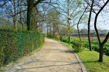 Beautiful view of the walkway and the colorful of the trees nature background in the garden at spring season. Natural and traveling concept.