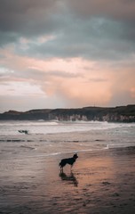 Fototapeta premium sunset on beach