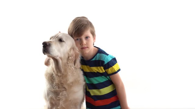 care and love for pets. little boy in the studio on a white background posing with a golden retriever big dog