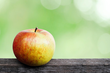 Close up of an organic apple fruit with outdour Background