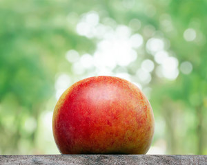 Close up of an organic apple fruit with outdour Background