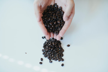 コーヒー 豆
