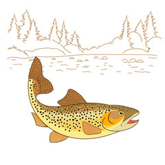Fishing emote. Brown Trout Fish Realistic drawing Vector illustration. American trout swimming in water isolated on white. Salmo trutta freshwater fish. Fishing theme vector.