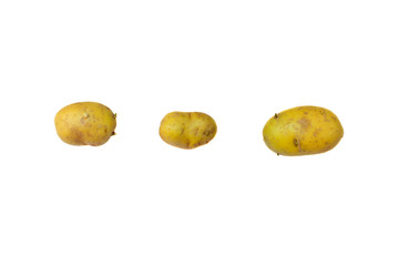 Closeup of fresh potato isolated on white background. Potato vegetable is come from biology gardening. Food and healthy care concept.