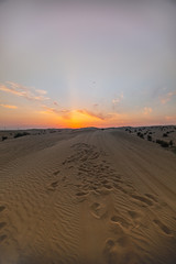 Fototapeta na wymiar sunset in the desert of Dubai, united arab emirates 