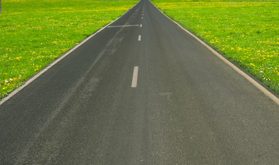Road through a meadow with flowers in spring.