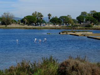 kitesurf presqu'ile de Giens - VAR