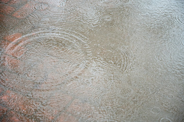  Rain drops on the puddle