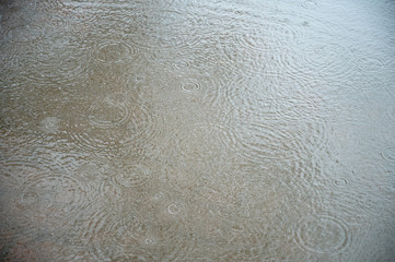  Rain drops on the puddle