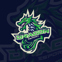 Mythological animals dragon sport esport gaming mascot logo template for streamer team