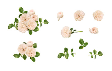 Set of rose flowers, buds, leaves and floral arrangements isolated on white