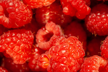 Closeup shot of raspberries in a bowl