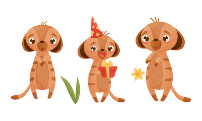 Cute Puppy Holding Gift Box and Standing with Surprised Look Vector Set