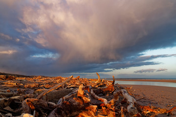 Driftwood and timber debris lit up by the setting sun, litter the upper areas of the sandy beach at...