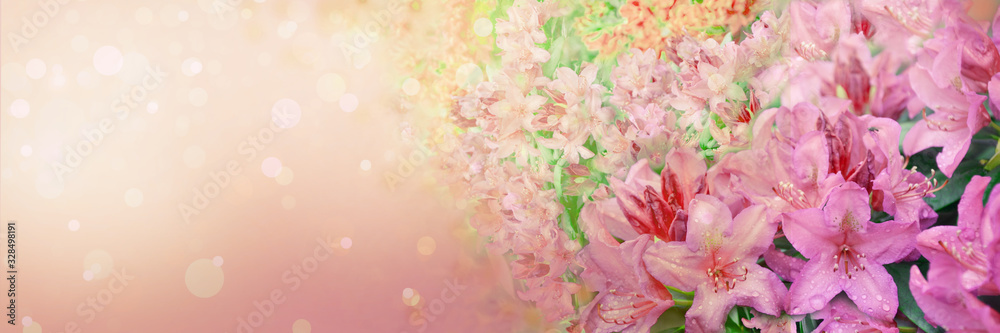 Wall mural spring abstract diffuse background with pink sky and branches of blooming flowers