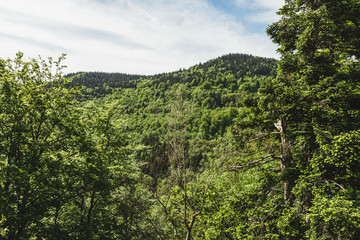 Nice panoramic landscape of the black forest region, Germany. Schwarzwald.