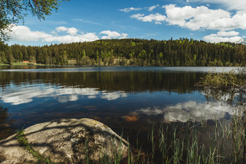 Nice landscape of lake in the forest. Black Forest, Germany Schwarzwald