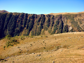 Landscape of forest on the mountain