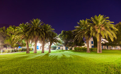 Evening view of the square with palm trees.