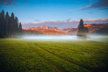 Misty summer day in the Durmitor National park. Location place village Zabljak, Montenegro.