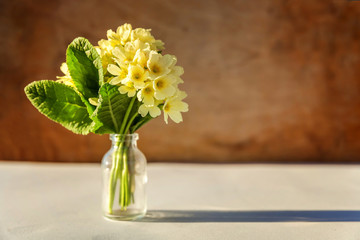 Easter concept. Bouquet of Primrose Primula with yellow flowers in glass vase on wooden backdrop. Inspirational natural floral spring or summer blooming background. Copy space.