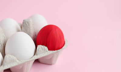 White chicken eggs on a pink background