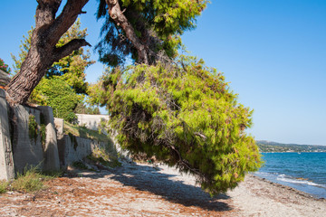 A beautiful hidden Greek beach on the Aegean Sea in Halkidiki